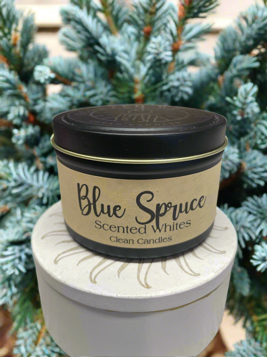 Blue Spruce