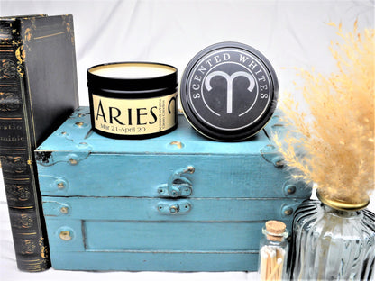 ARIES Tin Can