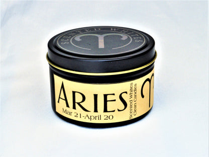 ARIES Tin Can